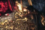 [aggiornata] Nuove immagini per Tomb Raider - Notizia