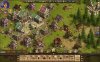 The Settlers Online