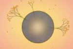 Figli dei fiori - Recensione