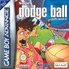 Super Dodge Ball Advance per Game Boy Advance