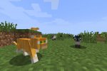 Enter the Minecraft - Notizia