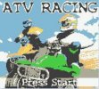 ATV Racing per Game Boy Color