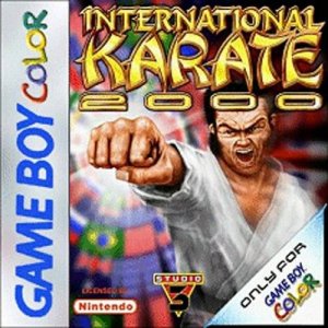 International Karate 2000 per Game Boy Color