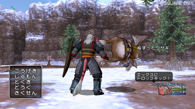 Immagine di Dragon Quest X per Nintendo Wii