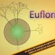 Eufloria - Disponibile da oggi su iPhone e supporto per iPad Retina