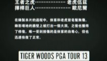 Tiger Woods PGA Tour 13 - Duel of the Masters