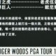 Tiger Woods PGA Tour 13 - Duel of the Masters