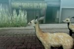 Tokyo Jungle: animali che lottano per la sopravvivenza e sesso tra panda - Notizia