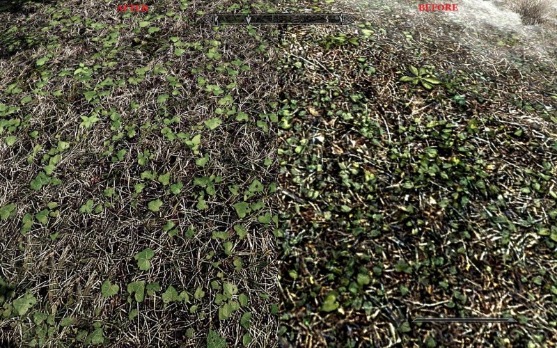 Skyrim - Il Realistic Overhaul Pack