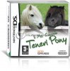 Il Mio Cucciolo: Teneri Pony per Nintendo DS