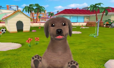 Cani e gatti 3D - I miei migliori amici