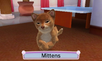 Cani e gatti 3D - I miei migliori amici