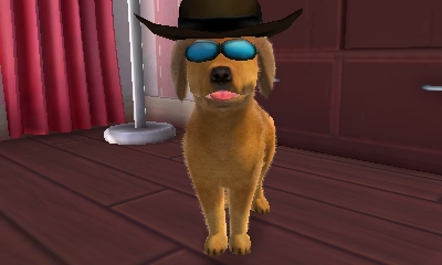 Cani e gatti 3D - I miei migliori amici