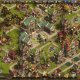 Parte la modalità PvP in The Settlers Online