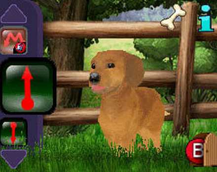 I Miei Amici – Cani & Gatti