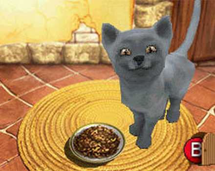 I Miei Amici – Cani & Gatti