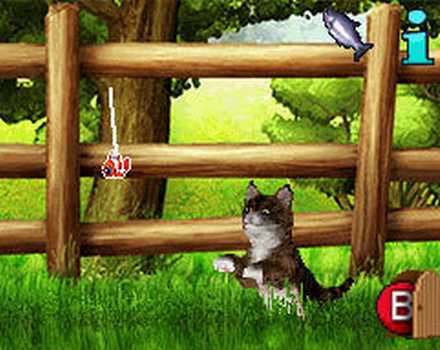 I Miei Amici – Cani & Gatti