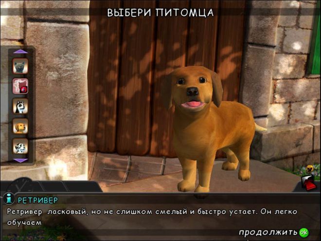 I Miei Amici – Cani & Gatti