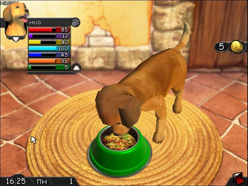 I Miei Amici – Cani & Gatti