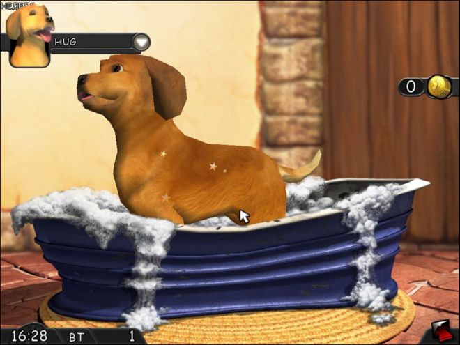 I Miei Amici – Cani & Gatti