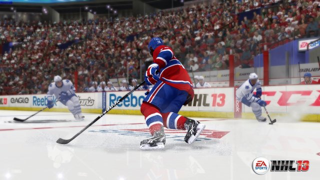 NHL 13