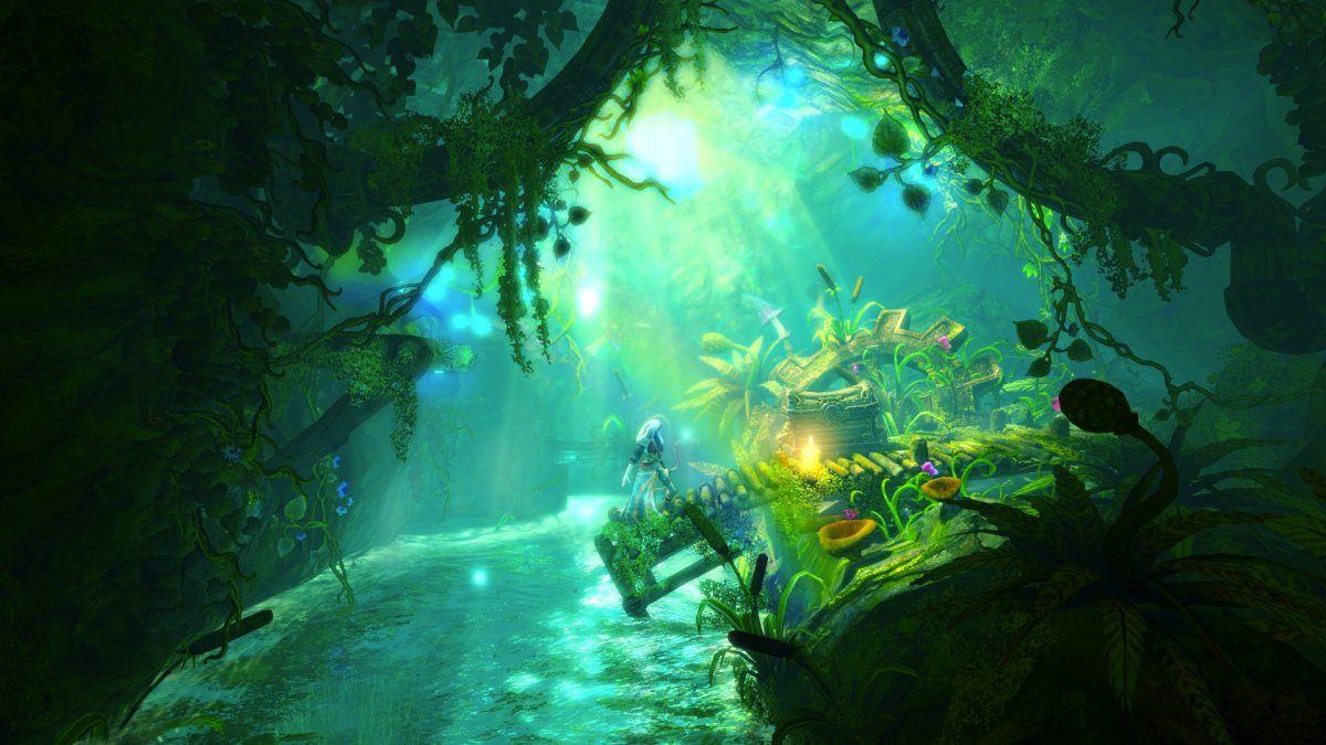 TRINE 2：ビデオでの監督のカットスウィイu