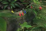 E3 2012 - Tutte le novità di Pikmin 3 in videoanteprima - Notizia