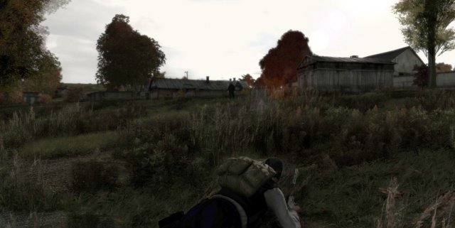 DayZ