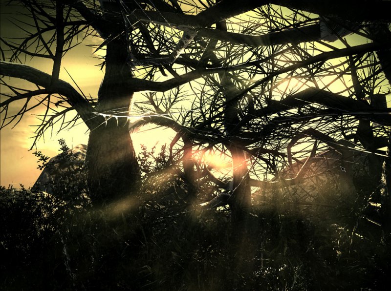 Immagine di BlackSoul per PC Windows