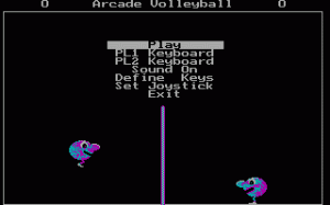 Arcade Volleyball per PC MS-DOS