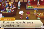 TGS 2012 - Fantasy Life: nuovo trailer e data d'uscita giapponese - Notizia