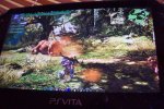 Immagini del Monster Hunter per PlayStation Vita? - Notizia
