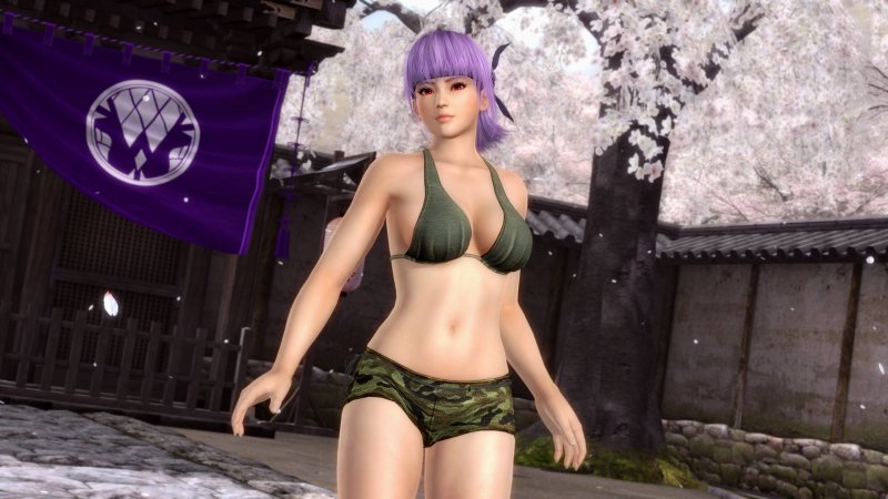 Immagine di Dead Or Alive 5 per PlayStation 3