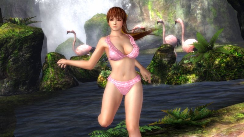 Immagine di Dead Or Alive 5 per PlayStation 3