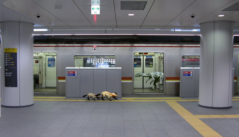 Immagine di Tokyo Jungle per PlayStation 3