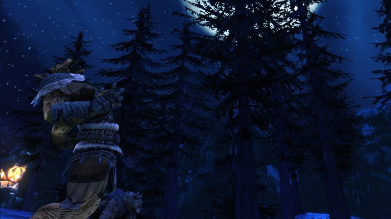 Immagine di Neverwinter per PC Windows