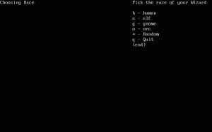 NetHack per PC MS-DOS