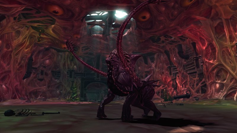 Immagine di Raiderz per PC Windows