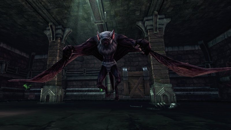 Immagine di Raiderz per PC Windows