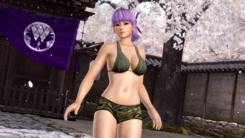 Immagine di Dead Or Alive 5 per PlayStation 3