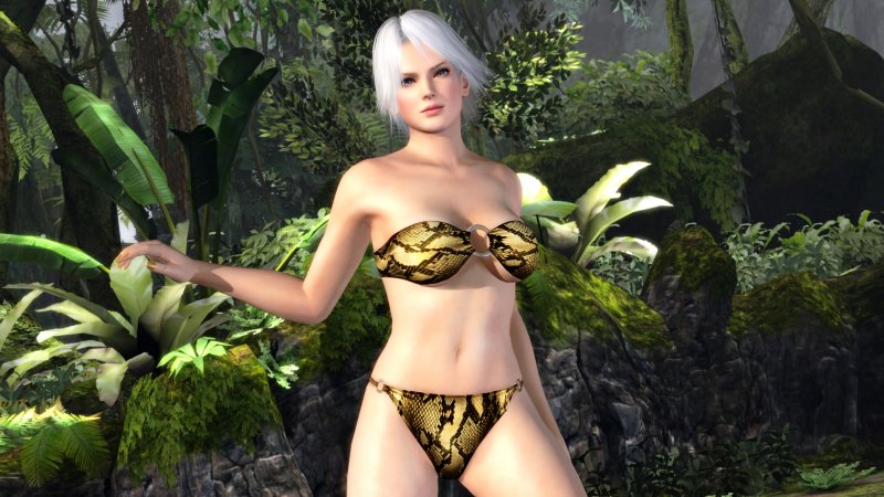 Immagine di Dead Or Alive 5 per PlayStation 3