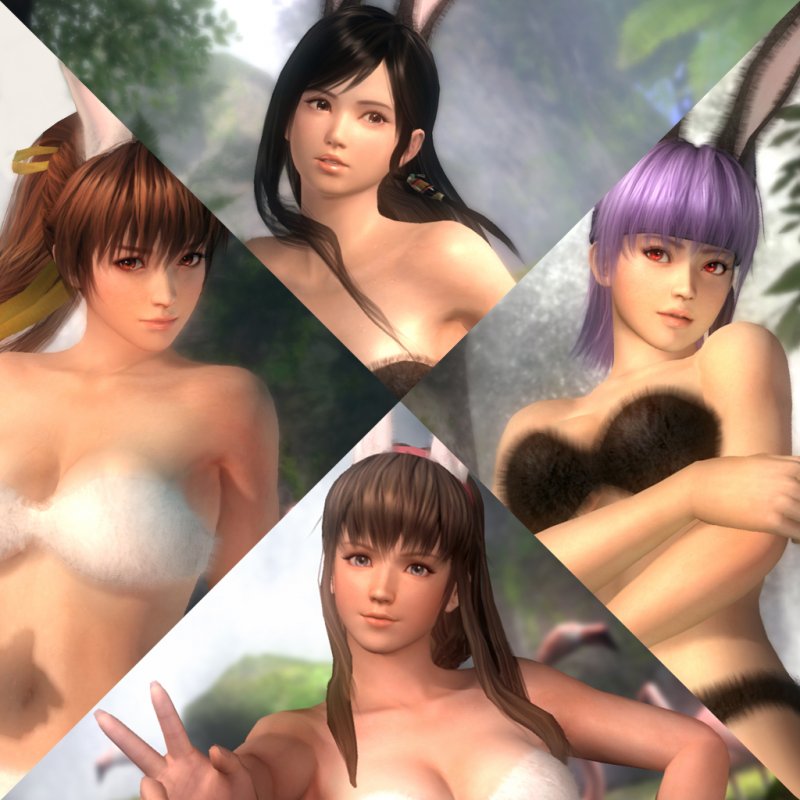 Immagine di Dead Or Alive 5 per PlayStation 3