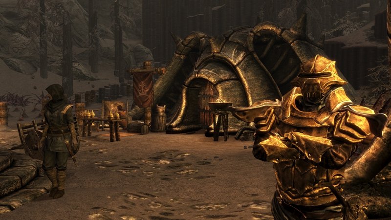 Immagine di The Elder Scrolls V: Skyrim - Dragonborn per PlayStation 3