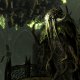 La soluzione di The Elder Scrolls V: Skyrim - Dragonborn
