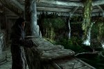 Dawnguard ed Hearthfire potrebbero arrivare su PS3 entro il mese - Notizia