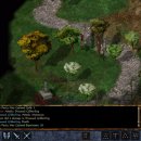 Baldur’s Gate: Enhanced Edition e il problema degli assets originali