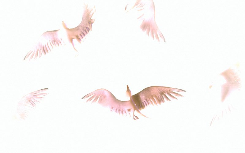 Immagine di Bientôt l’été per PC Windows