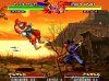 Ninja Master's