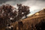 Slender: The Arrival debutterà a breve su PlayStation 4 e Xbox One - Notizia