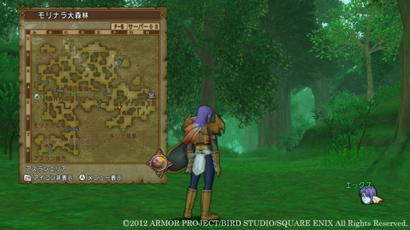 Immagine di Dragon Quest X per Nintendo Wii U
